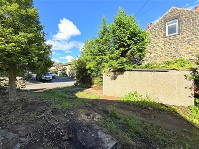 Picture 19